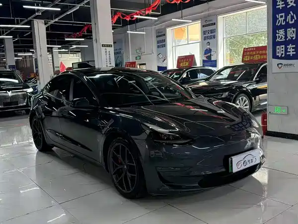 Tesla Model 3 2021