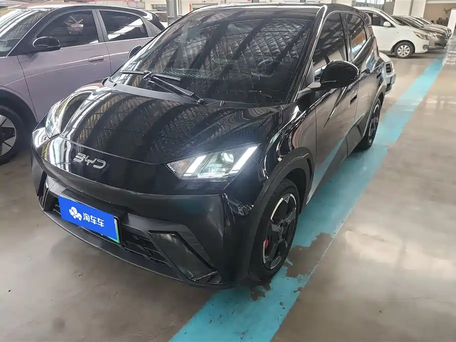 BYD Seagull 2024