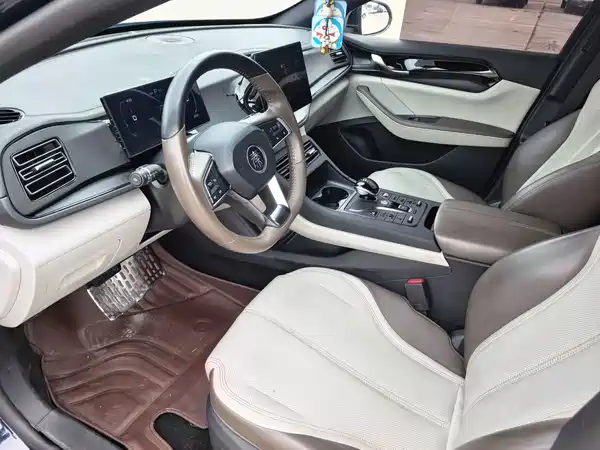 BYD Qin PLUS 2024