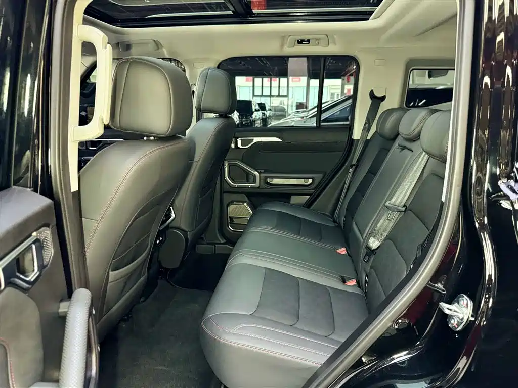 Shanhai Traveller C-DM 2025 — фото 19