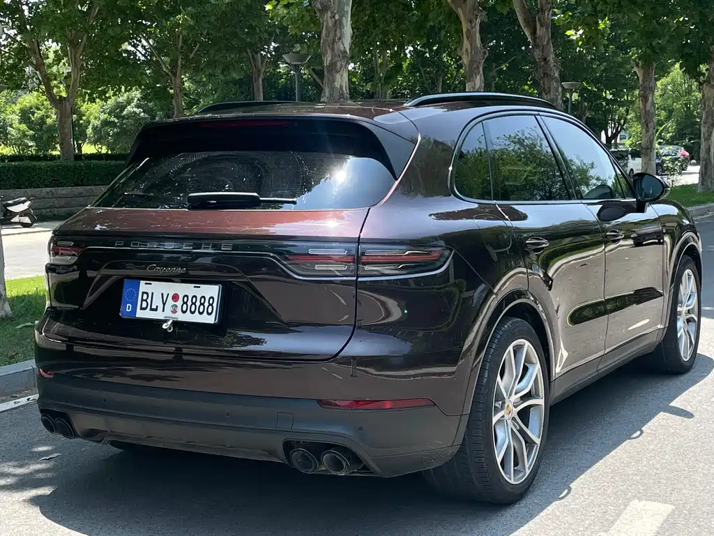 Porsche Cayenne 2022 — фото 12