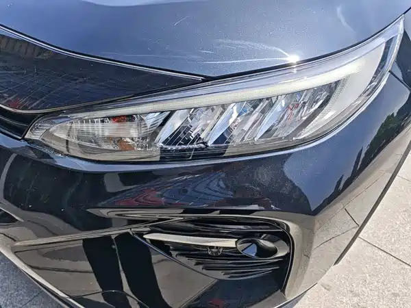 Toyota Wildlander 2020