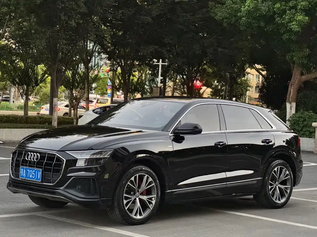 Audi Q8 2020 — фото 1