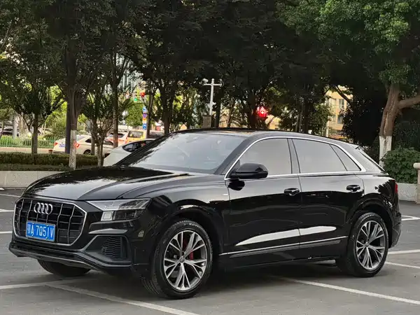 Audi Q8 2020