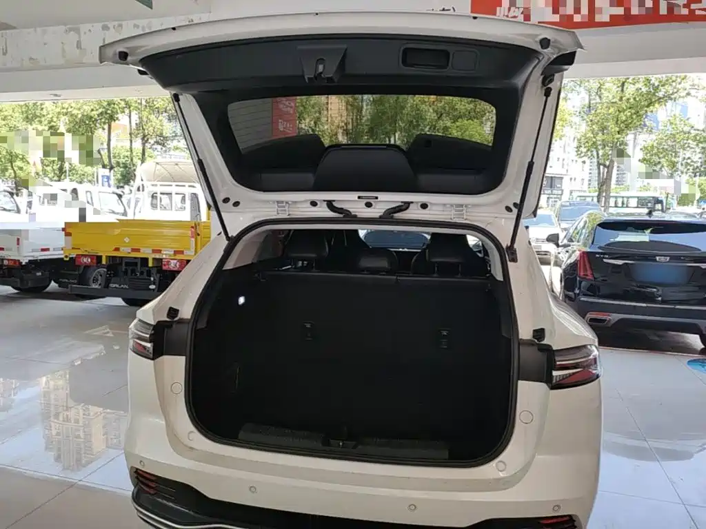 Roewe RX5 New Energy 2024 — фото 19