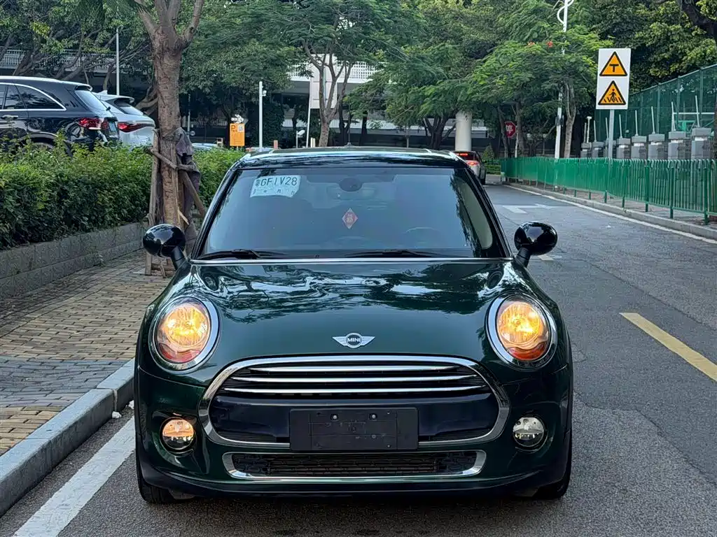MINI MINI 2017