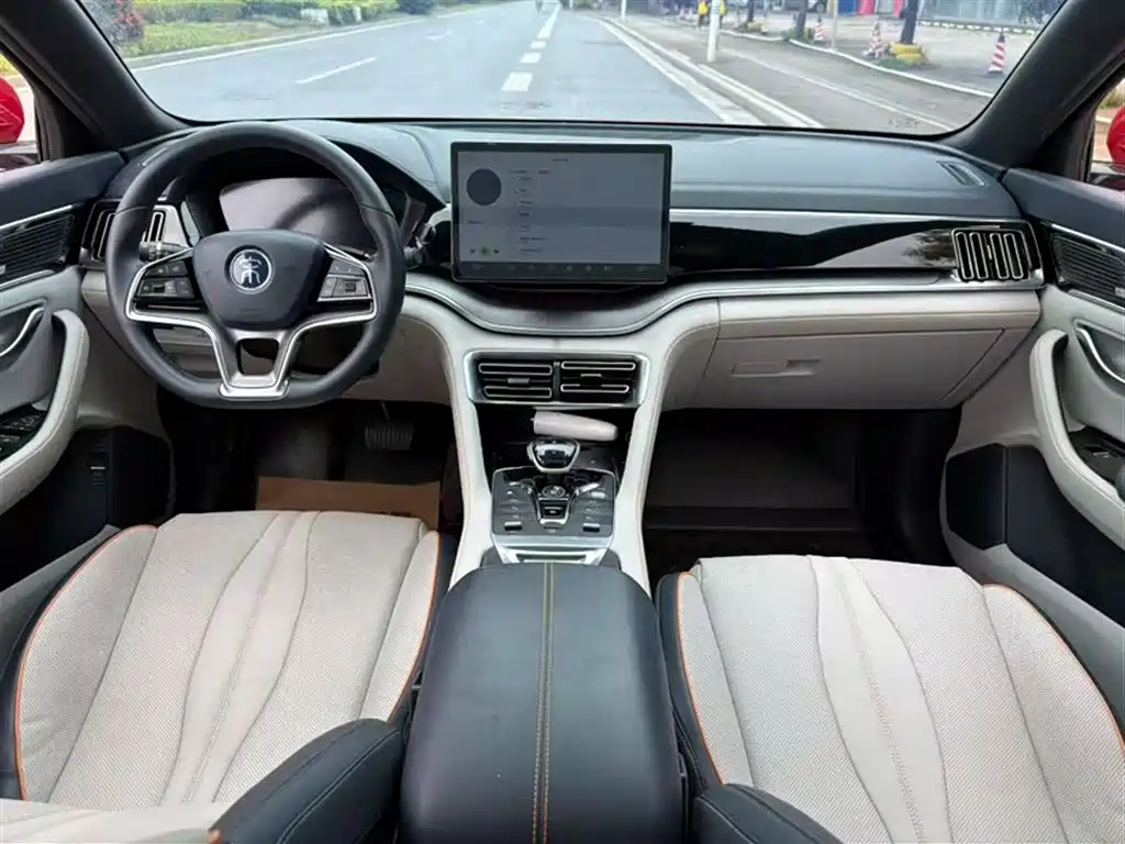 BYD PLUS New Energy 2022 — фото 14
