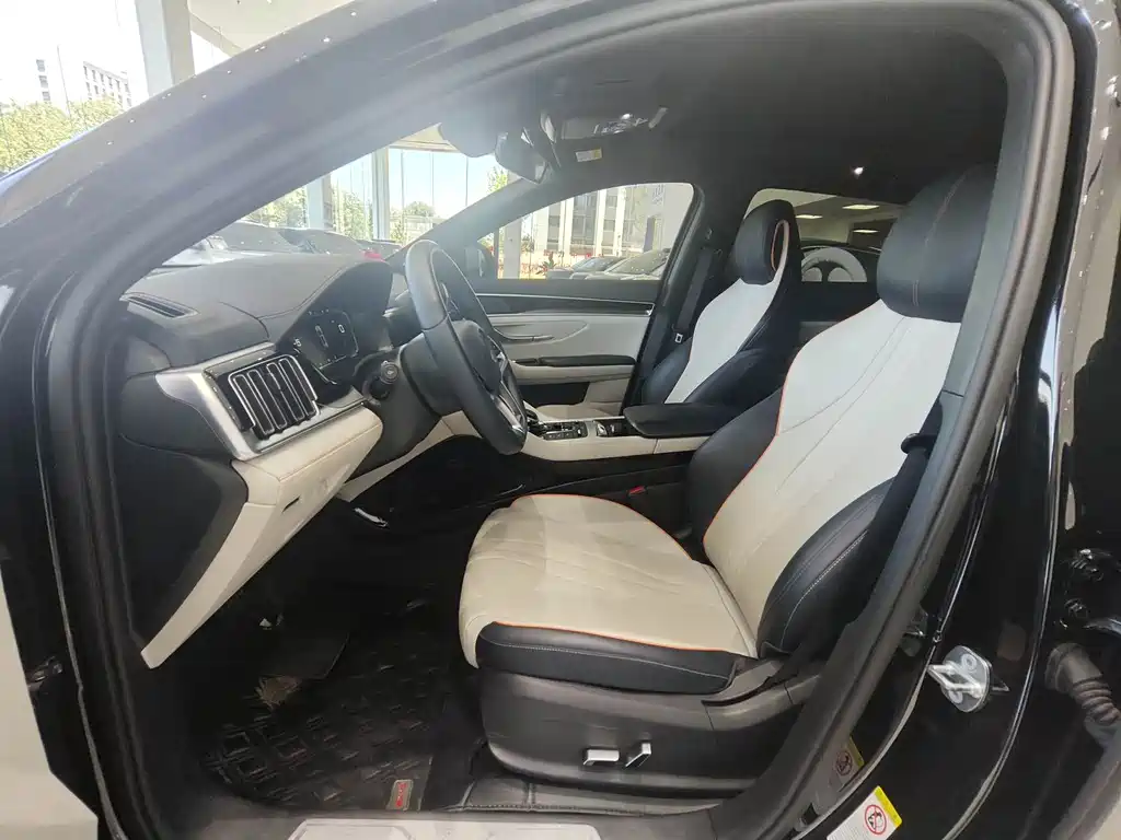 BYD Song PLUS New Energy 2023 — фото 10