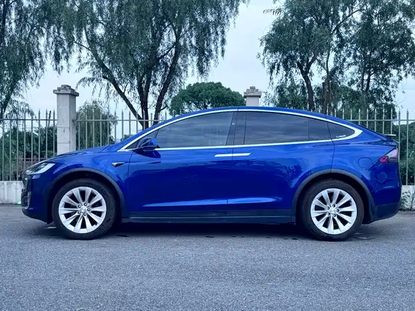 Tesla Model X 2019