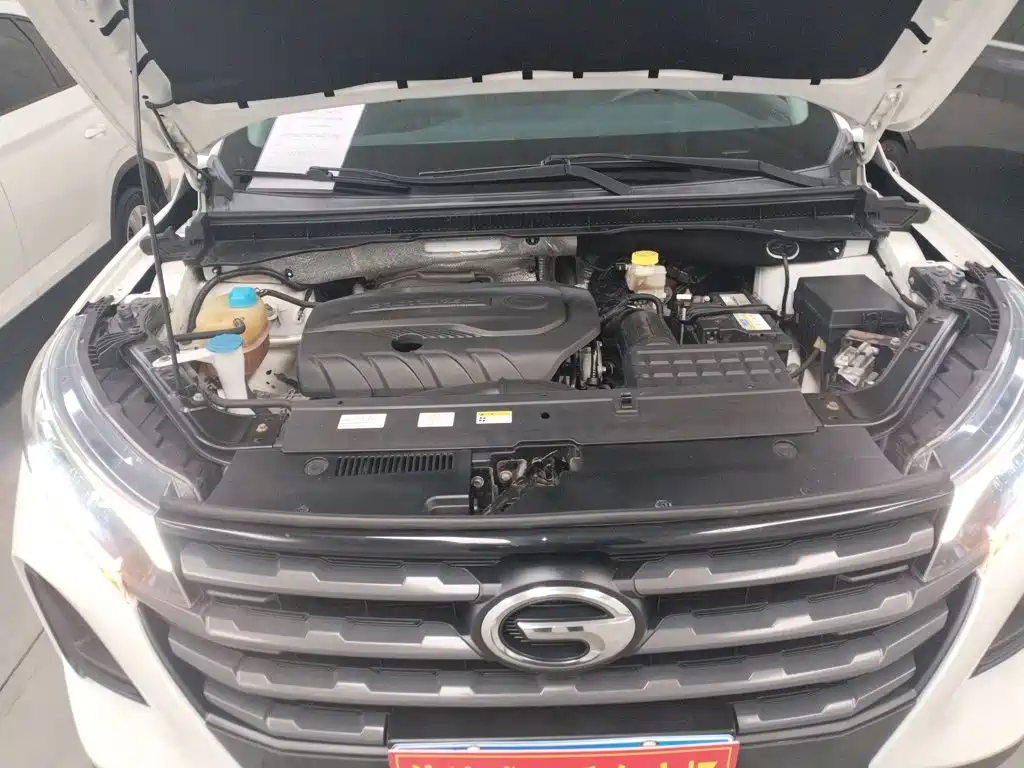 GAC Trumpchi GS4 2021 — фото 20