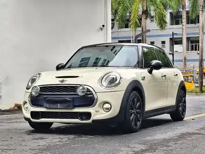 MINI MINI 2015