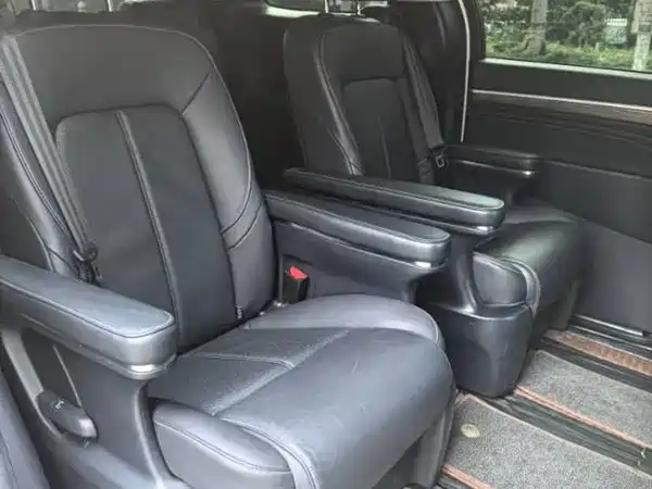 GAC Trumpchi M8 2021