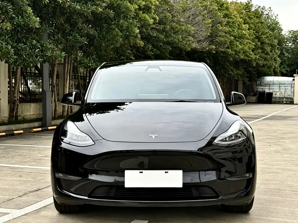 Tesla Model Y 2021 — фото 2