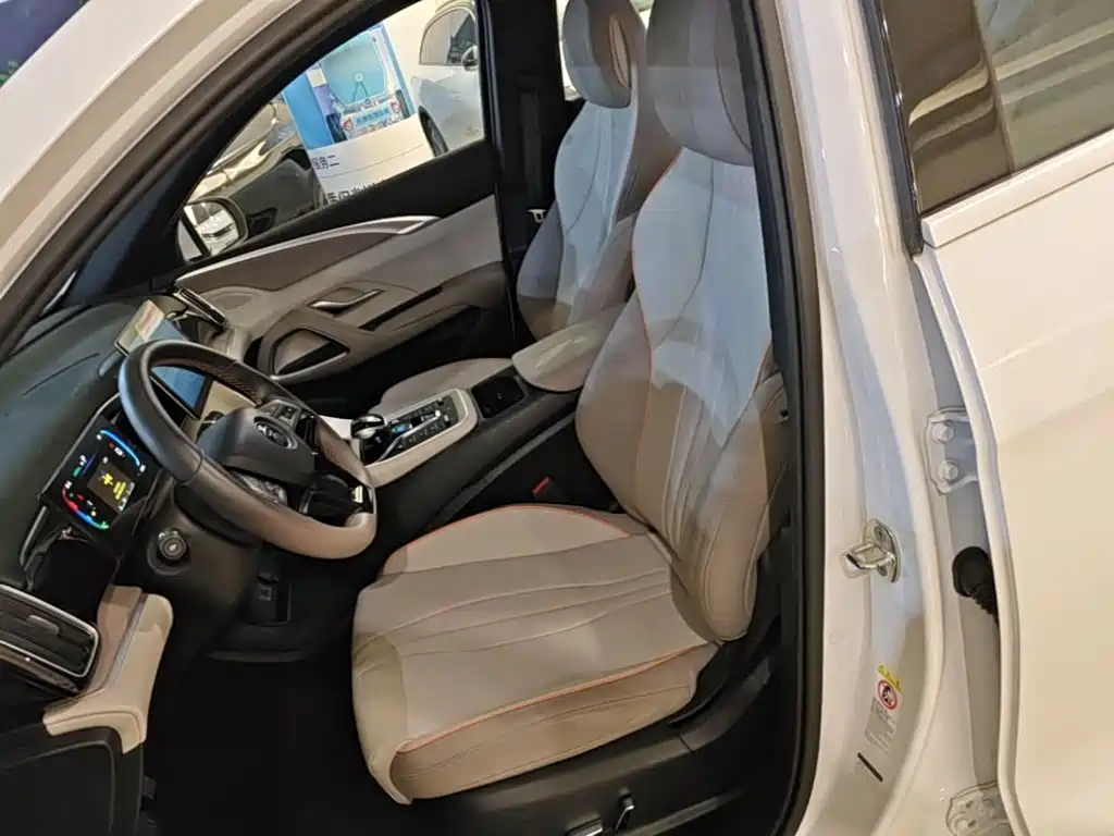 BYD Song Pro New Energy 2023 — фото 15