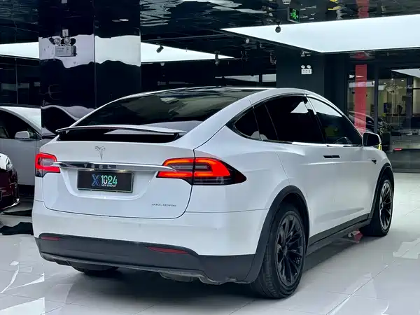 Tesla Model X 2021