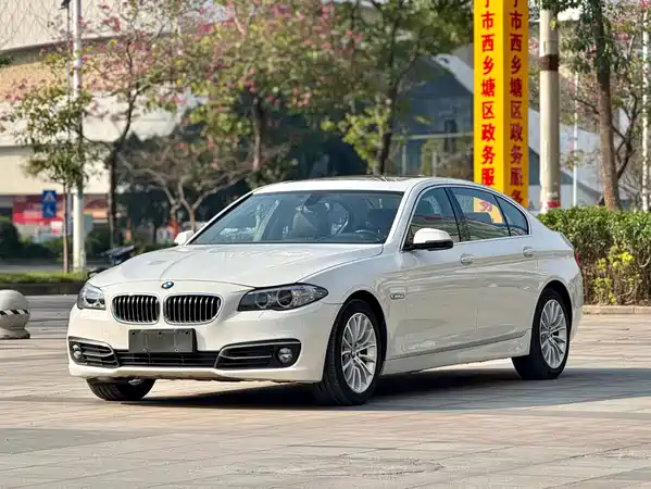 BMW 5 Series 2015