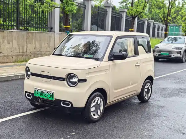 Geely Galaxy Panda 2025