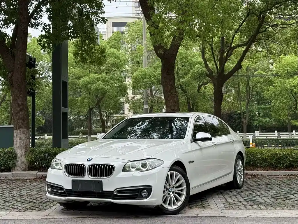 BMW 5 Series 2014