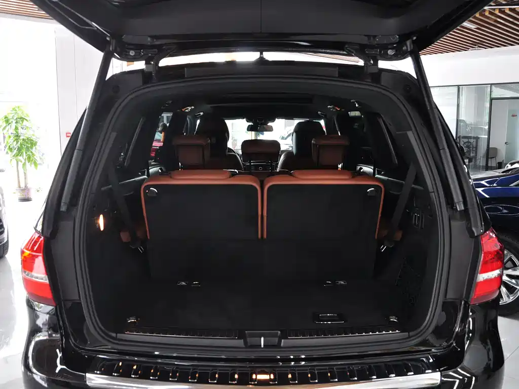 Mercedes-Benz GLS 2018 — фото 15