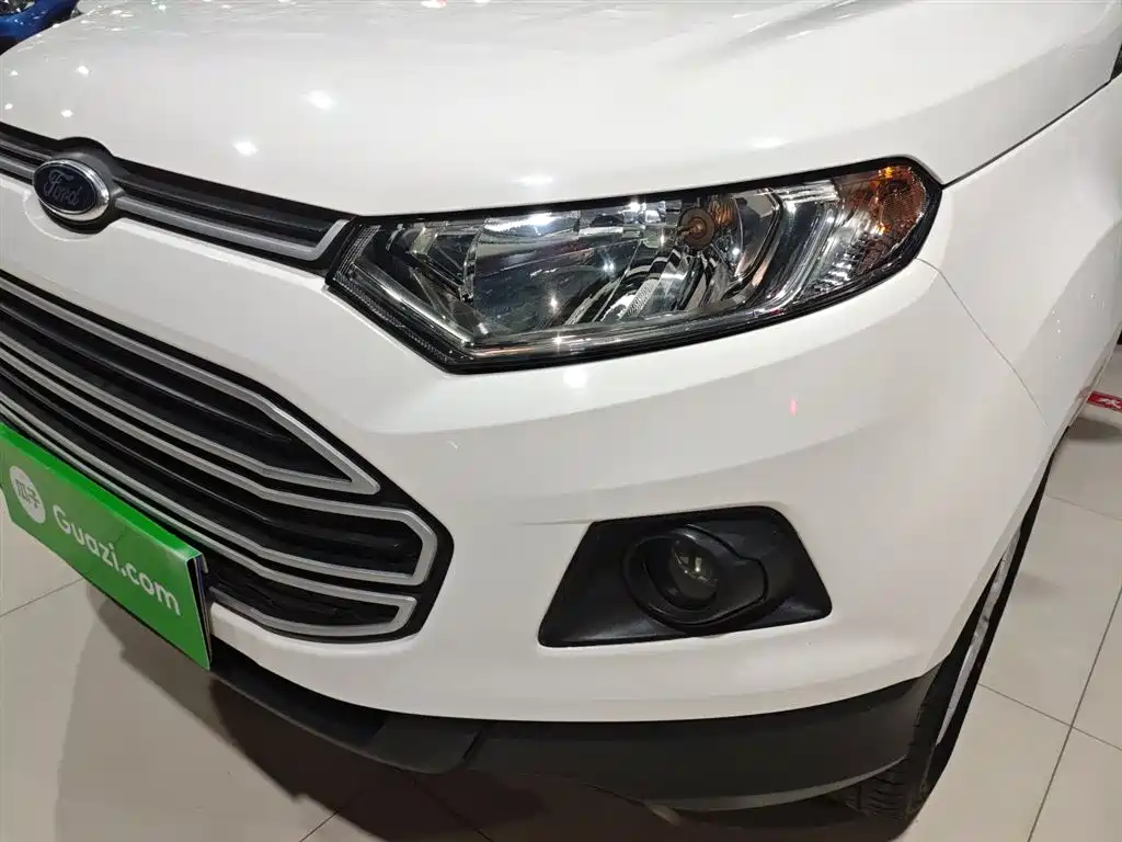 Ford Ecosport 2016 — фото 24