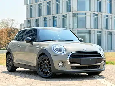 MINI MINI 2018