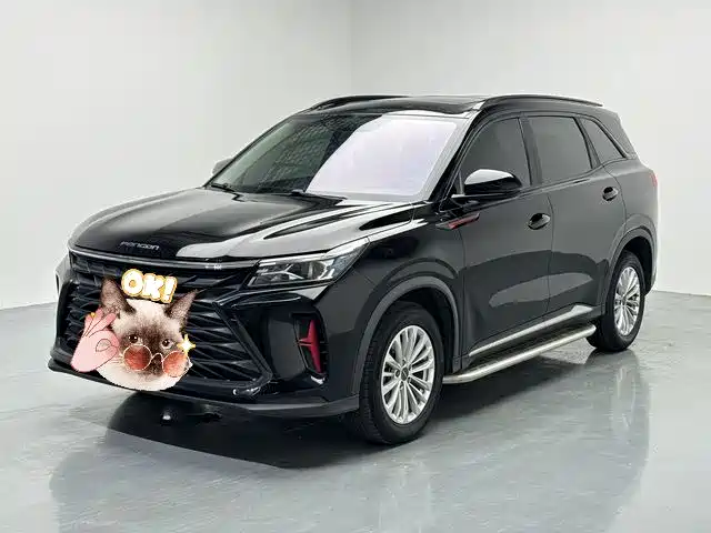 Fengguang 580 2022