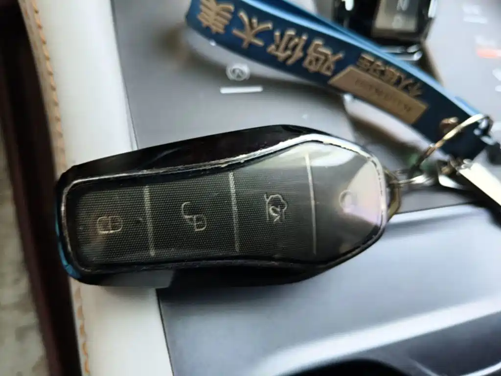 BYD Song PLUS New Energy 2024 — фото 9