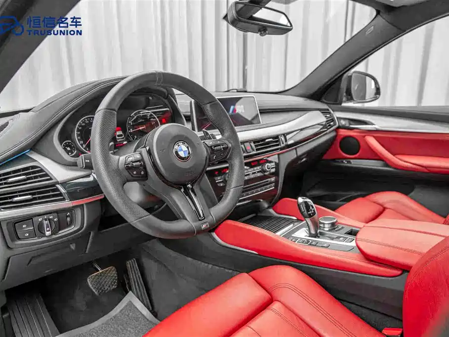 BMW X6 2019 — фото 12