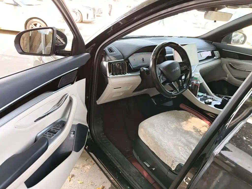 BYD Song PLUS New Energy 2024 — фото 16