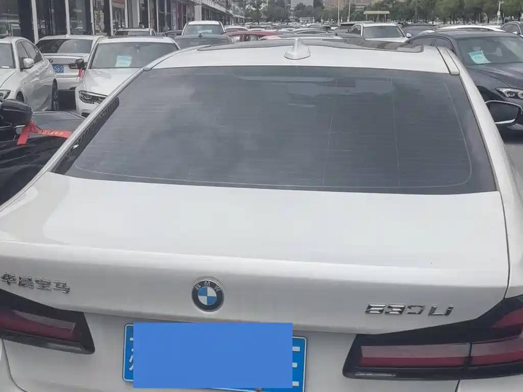 BMW 5 Series 2021