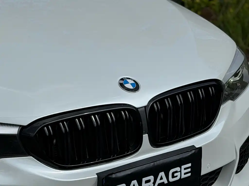 BMW 5 Series 2016 — фото 5