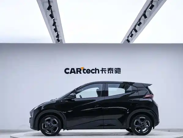 BYD Seagull 2024