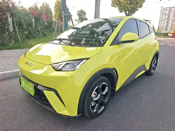 BYD Seagull 2024
