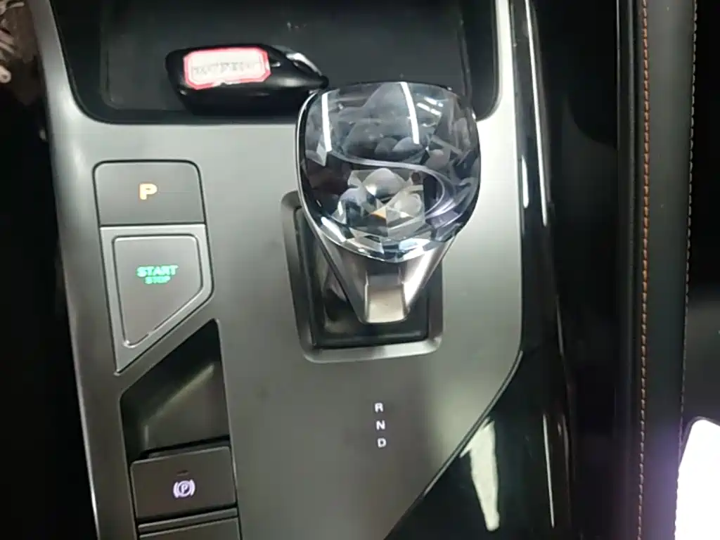 Roewe RX5 New Energy 2024 — фото 10