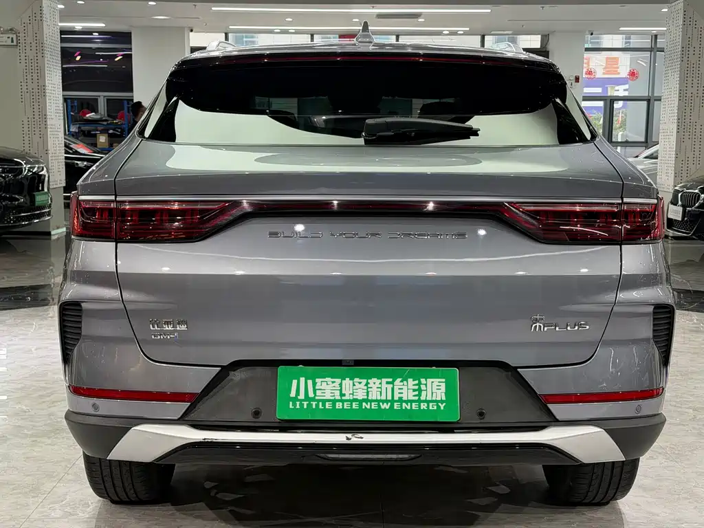 BYD PLUS New Energy 2023 — фото 15