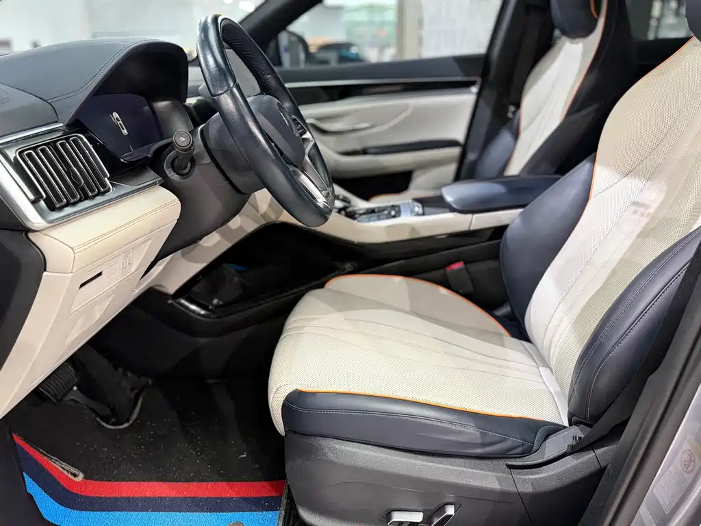BYD PLUS New Energy 2023 — фото 4