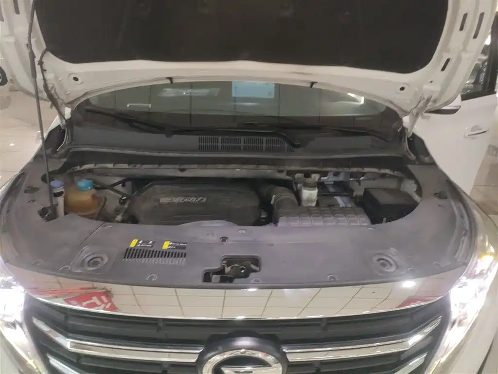 GAC Motor Trumpchi M8 2022 — фото 16