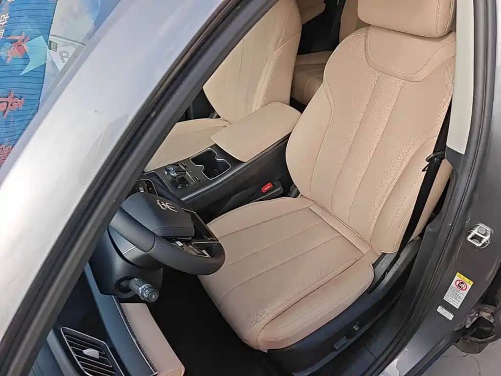 BYD Song Pro New Energy 2025 — фото 15