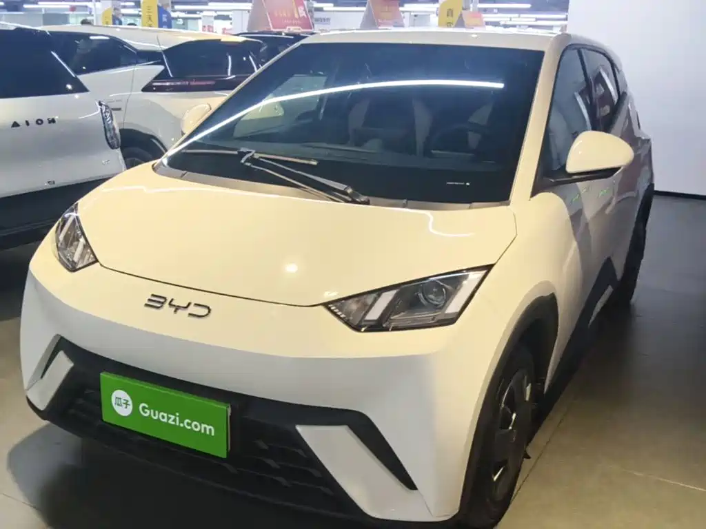 BYD Seagull 2024
