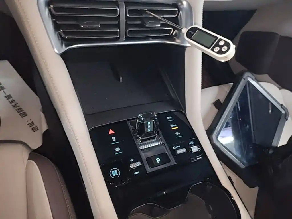 BYD PLUS New Energy 2025 — фото 14