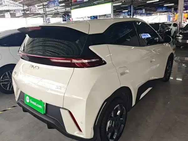 BYD Seagull 2024