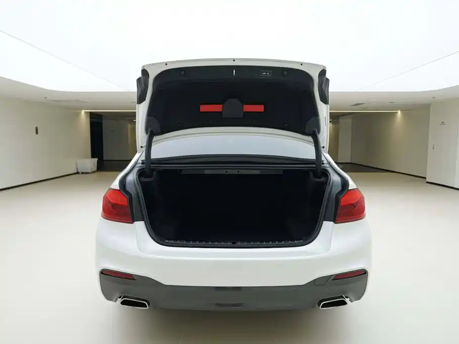 BMW 5 Series 2020