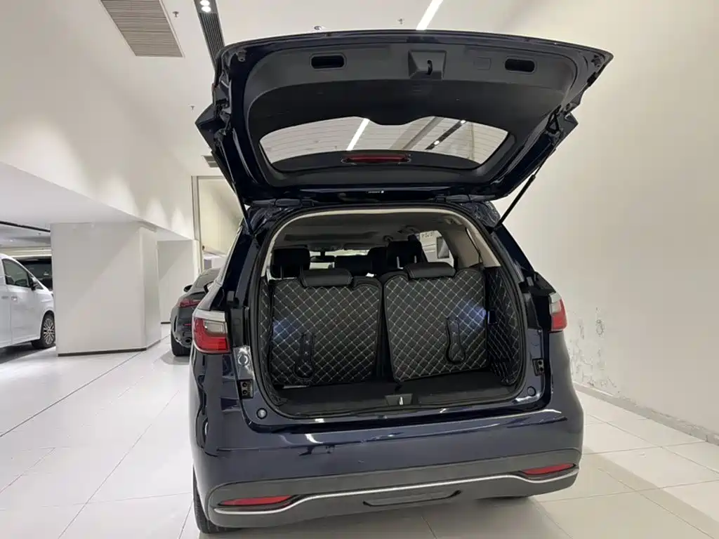 BYD Song MAX New Energy 2020 — фото 10