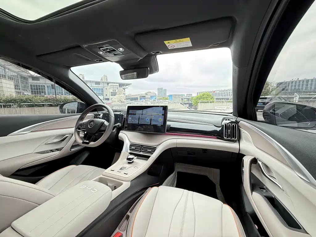 BYD Pro New Energy 2024 — фото 22