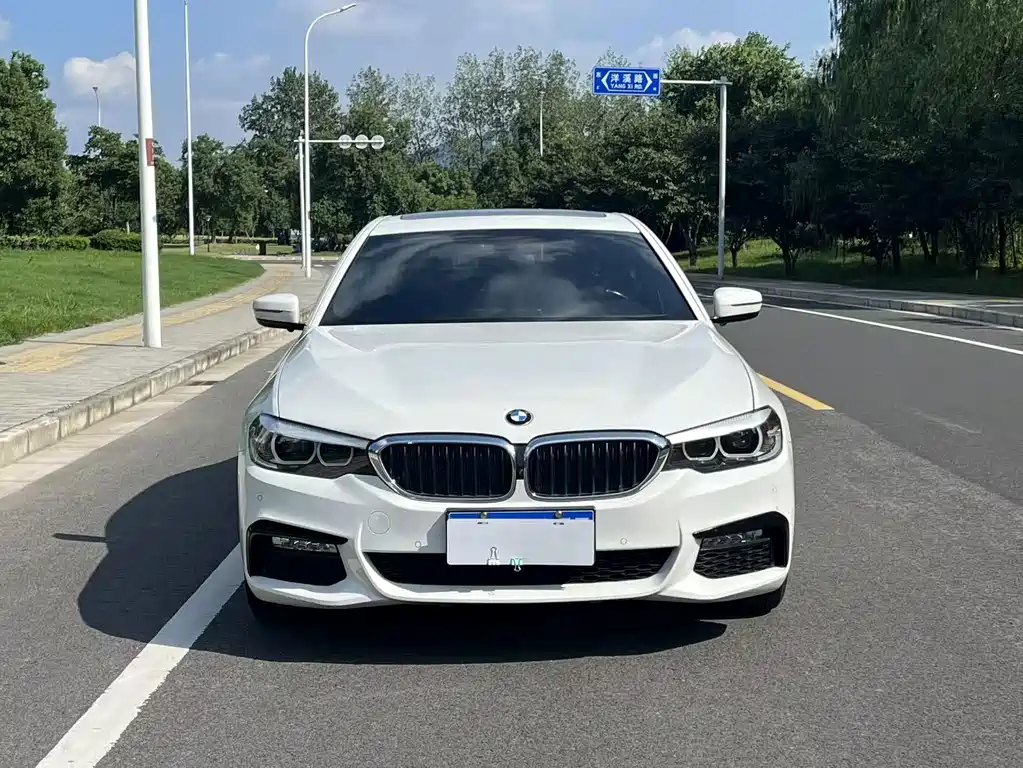 BMW 5 Series 2018 — фото 3