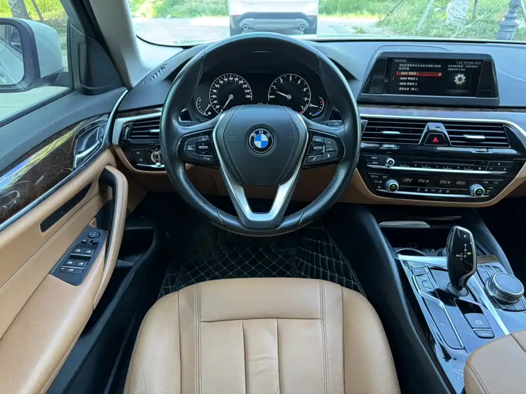 BMW 5 Series 2017 — фото 11