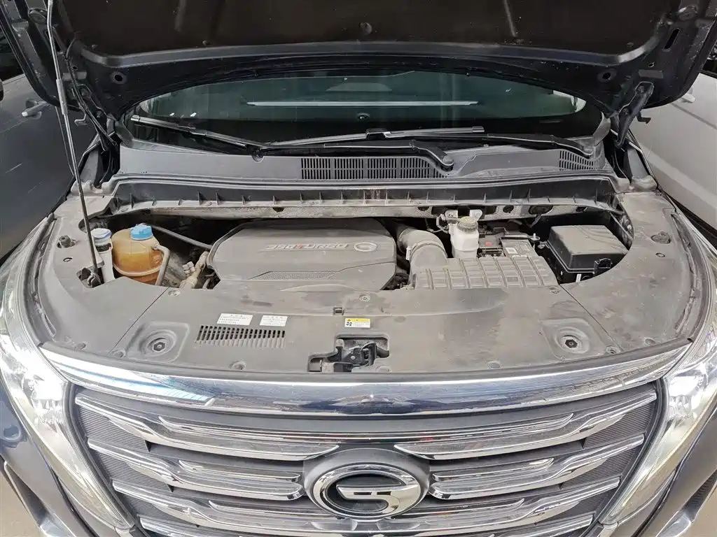 GAC Motor Trumpchi M8 2020 — фото 20