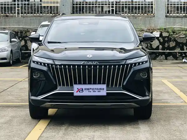 Dongfeng Haoji 2022