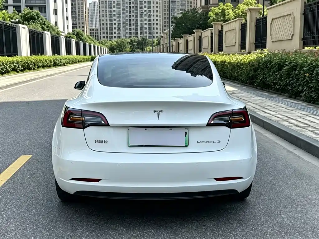 Tesla Model 3 2020 — фото 8