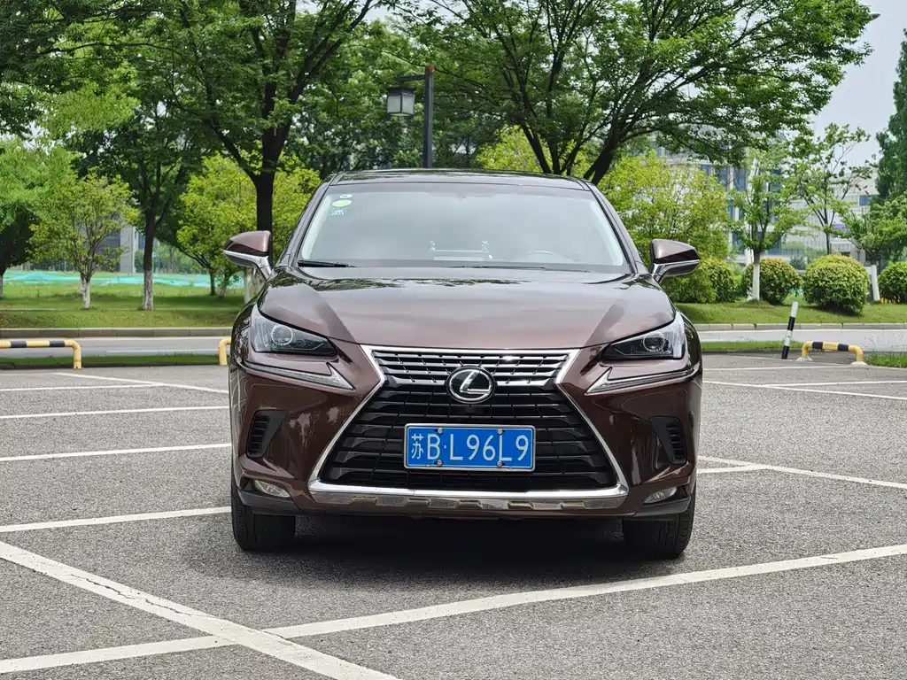 Lexus NX 2019